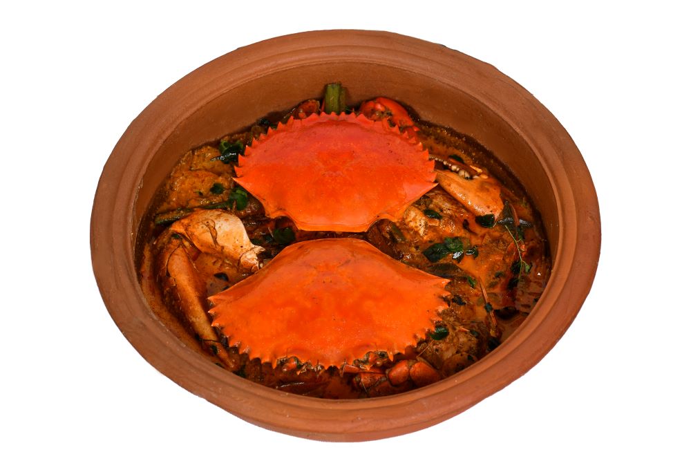 Ceylonese Muddy Water Lagoon Crab